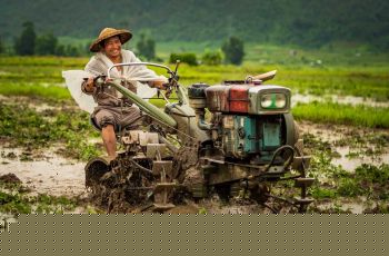 mandalay bhamo river cruises